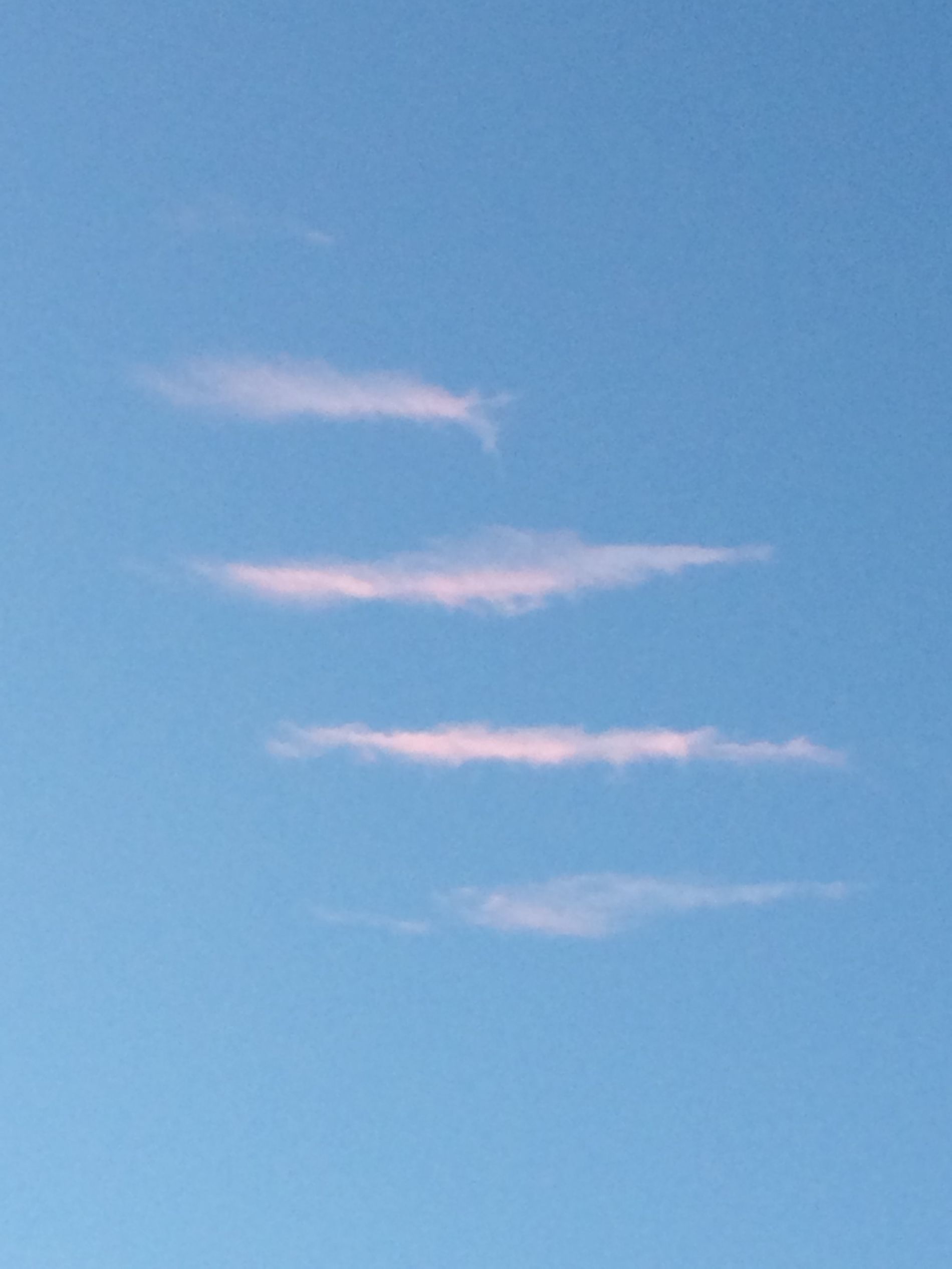 Fish or clouds 3